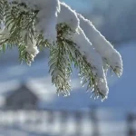 Sezonski poslovi u Austriji za državljane BiH