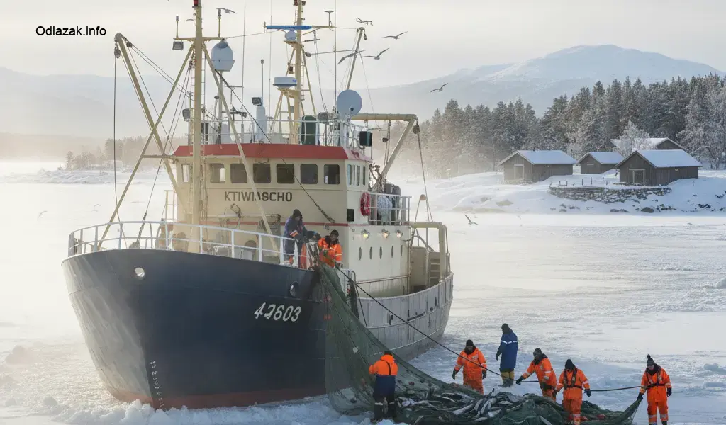 Finska poslovi ribarstvo